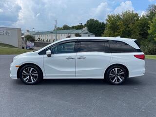 2020 Honda Odyssey for sale in Morristown TN