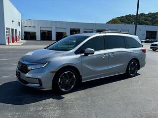 2022 Honda Odyssey for sale in Kingsport TN