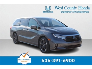 2023 Honda Odyssey for sale in Johnson City TN