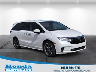 2023 Honda Odyssey for sale in Cleveland TN
