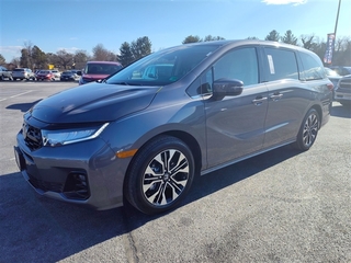 2025 Honda Odyssey for sale in Roanoke VA