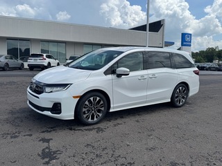 2025 Honda Odyssey for sale in Johnson City TN