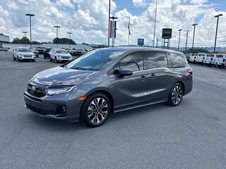 2026 Honda Odyssey for sale in Kingsport TN