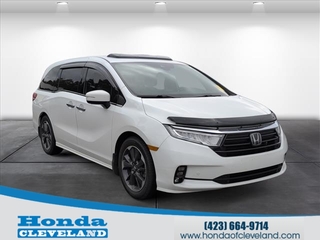 2022 Honda Odyssey for sale in Cleveland TN