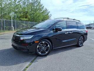 2023 Honda Odyssey