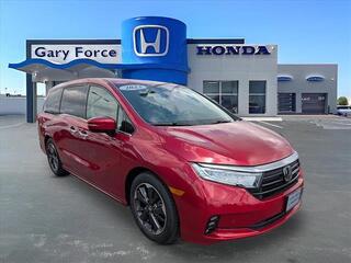 2023 Honda Odyssey for sale in Bowling Green KY