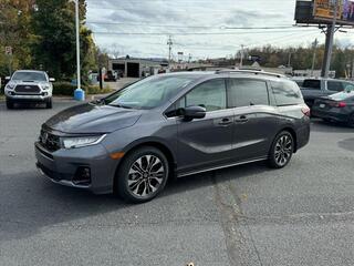 2025 Honda Odyssey for sale in Johnson City TN