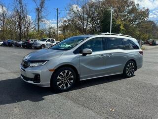 2025 Honda Odyssey for sale in Johnson City TN