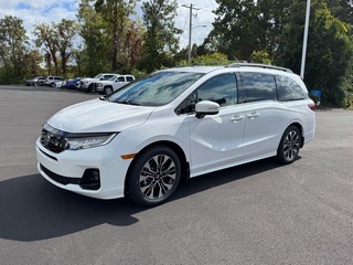2026 Honda Odyssey for sale in Johnson City TN