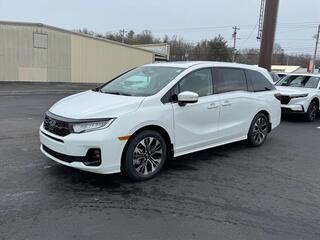 2026 Honda Odyssey for sale in Johnson City TN