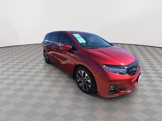 2025 Honda Odyssey for sale in Laredo TX