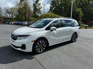 2025 Honda Odyssey for sale in Johnson City TN