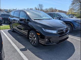 2025 Honda Odyssey for sale in Bowling Green KY