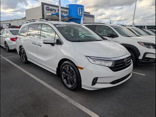 2023 Honda Odyssey for sale in Bowling Green KY