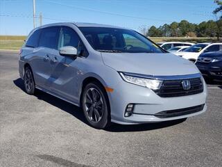 2023 Honda Odyssey for sale in Cleveland TN