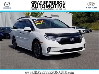 2023 Honda Odyssey for sale in Cleveland TN