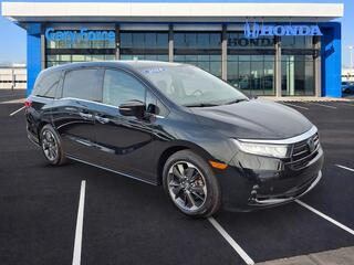 2024 Honda Odyssey for sale in Bowling Green KY