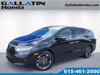 2024 Honda Odyssey for sale in Gallatin TN