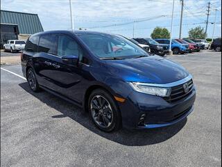 2024 Honda Odyssey for sale in Bowling Green KY