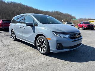 2025 Honda Odyssey for sale in Bridgeport WV