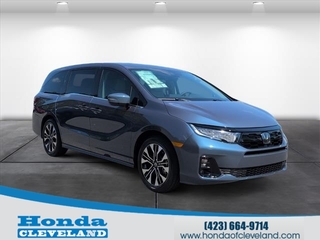 2026 Honda Odyssey for sale in Cleveland TN