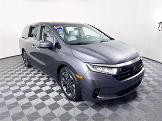 2023 Honda Odyssey for sale in Merritt Island FL