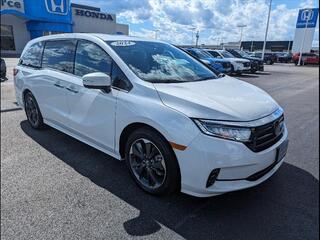 2024 Honda Odyssey for sale in Bowling Green KY