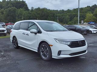2024 Honda Odyssey for sale in Bridgeport WV