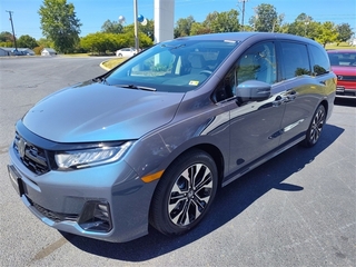 2025 Honda Odyssey for sale in Roanoke VA