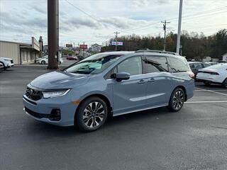 2025 Honda Odyssey for sale in Johnson City TN