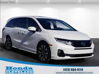 2025 Honda Odyssey for sale in Cleveland TN