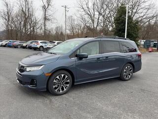 2025 Honda Odyssey for sale in Johnson City TN