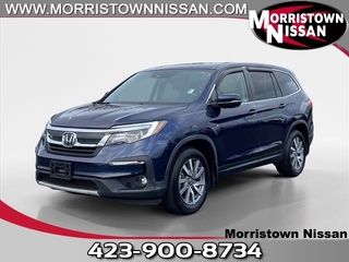 2019 Honda Pilot for sale in Morristown TN