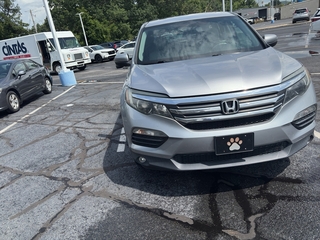 2018 Honda Pilot for sale in Johnson City TN