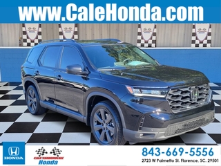 2025 Honda Pilot for sale in Florence SC