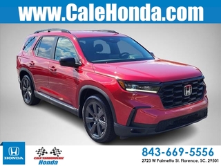 2025 Honda Pilot for sale in Florence SC