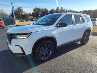 2025 Honda Pilot for sale in Roanoke VA