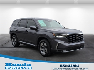 2025 Honda Pilot for sale in Cleveland TN