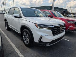 2025 Honda Pilot for sale in Bowling Green KY