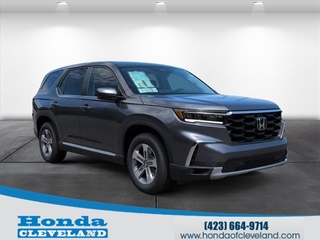 2025 Honda Pilot for sale in Cleveland TN