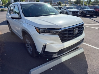 2025 Honda Pilot for sale in Johnson City TN