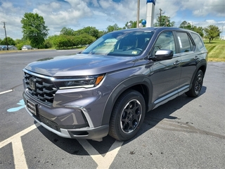 2025 Honda Pilot for sale in Roanoke VA