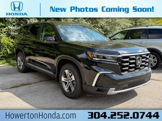2025 Honda Pilot for sale in Beckley WV