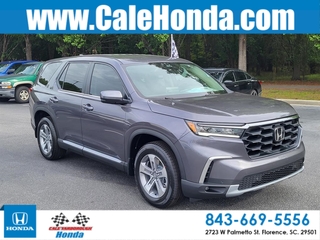 2025 Honda Pilot for sale in Florence SC