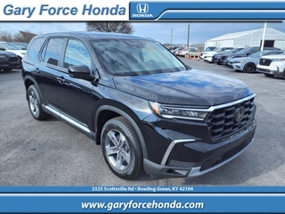 2024 Honda Pilot for sale in Bowling Green KY