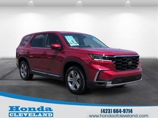 2025 Honda Pilot for sale in Cleveland TN