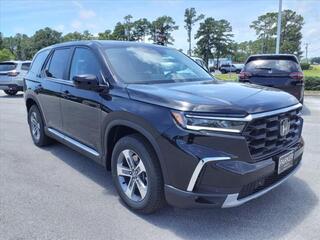 2025 Honda Pilot for sale in Morehead City NC