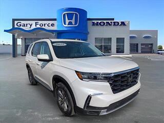 2025 Honda Pilot for sale in Bowling Green KY