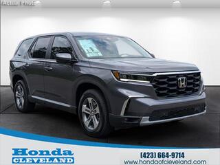 2025 Honda Pilot for sale in Cleveland TN