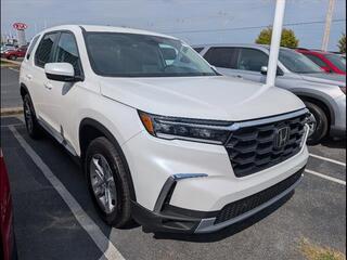 2025 Honda Pilot for sale in Bowling Green KY